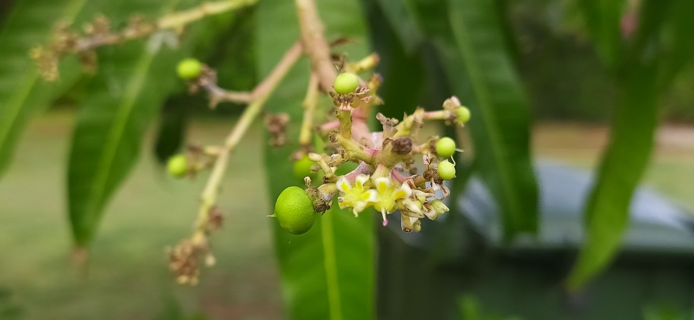 麻花影视 · 对抗瞬间